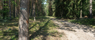 Mostki, rozejście szlaków ↔ Bucze