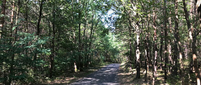 Kęszyca Leśna ↔ Rozejście szlaków