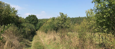 Stare Kursko ↔ Rozejście szlaków