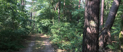 Rozejście szlaków ↔ Jezioro Kleśno