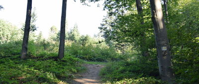 Pod Cergową