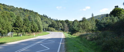 Tylawa, skrzyżowanie ↔ Pole namiotowe Stasiane