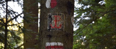 Rymanów-Zdrój, leśniczówka ↔ Wołtuszowa, cmentarz łemkowski