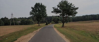 Stara Wieś ↔ Zamłynie