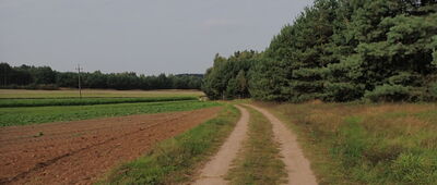 Ścieżka do kamieniołomu ↔ Troniny