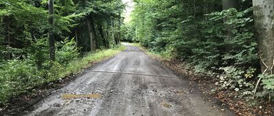 Skrzyżowanie szlaków niebieski / czarny [Czarny szlak w kierunku Chełmca]