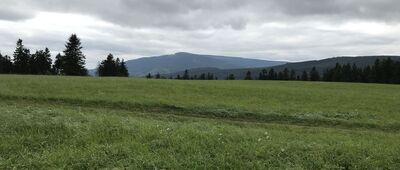 Niedamirów, granica [Widok na Karkonosze z rozejścia szlaków]