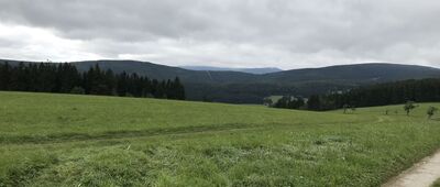 Niedamirów, granica [Widok na Karkonosze z rozejścia szlaków]