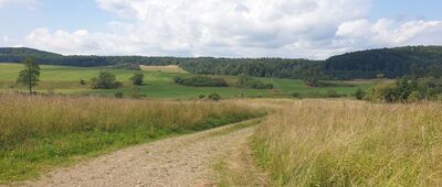 Czeremcha, skrzyżowanie