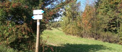 Przełęcz pod Grzebieniem