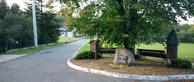 Góra Świętej Anny, ul. Wolności