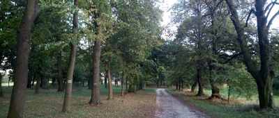 Leśnica, muzeum ↔ Góra Świętej Anny, Kaplica Włożenia Krzyża