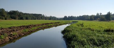 Chodolewo, kanał Kokot ↔ Chodlewo [Kanał Kokot]
