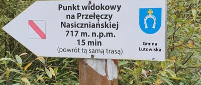 Odejście na punkt widokowy [Tabliczka szlaku przy skręcie z drogi na Caryńskie w kierunku na punkt widokowy]