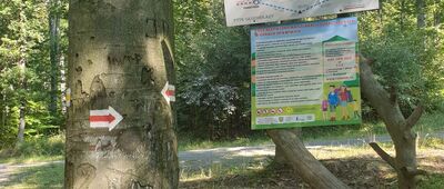 Przełęcz pod Zamkową Górą