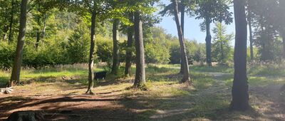 Przełęcz pod Zamkową Górą